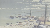 10322a_8dd91716dbcbf5c_sm.jpeg