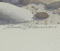 10322c_8dd91716e6a155c_sm.jpeg