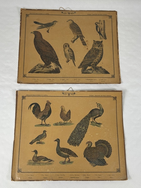 Skolplanscher, 2 st, 1900-tal.