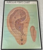 Affisch, "Auricular Points Chart".