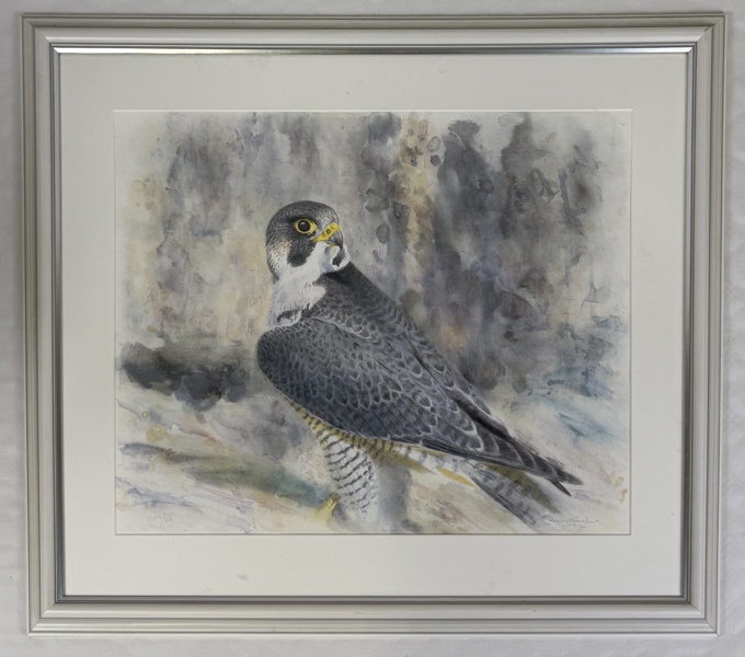 Roland Jonsson, färglitografi, pilgrimsfalk, 114/310.