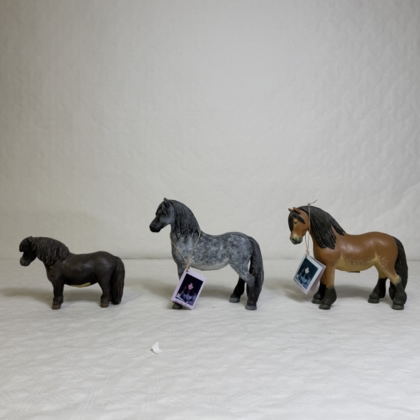 Marie Persson Ekers. Hästar, 3 st.