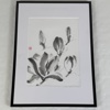 Laura Wawerczak. "Magnolia" Sumi-E ink, Japan.