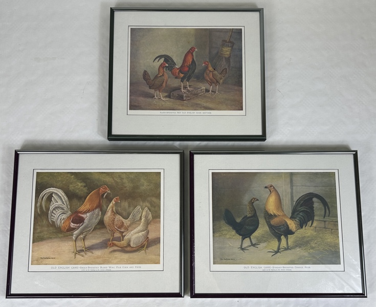 Herbert Atkinson. Tavlor, 3st.