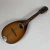 Mandolin, AB Herman Carlson Levin.