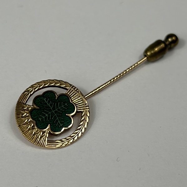 Pin, 18k guld.