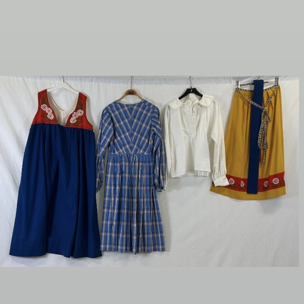 Folkdräkt, "Sverigedräkten".