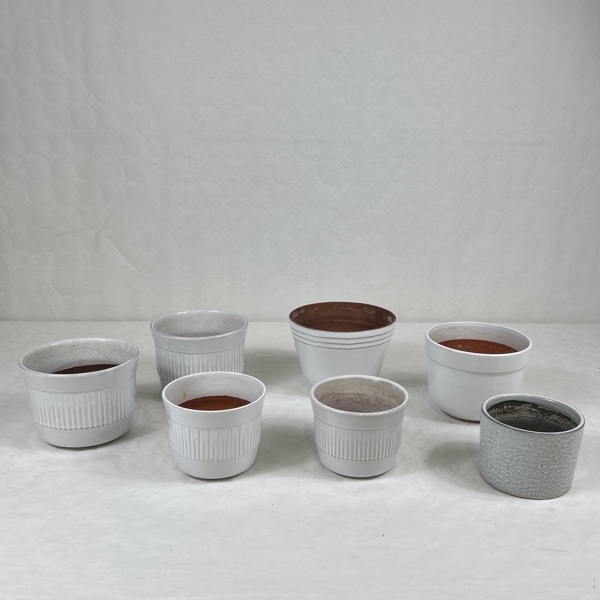 Parti krukor, varav fyra Steninge.