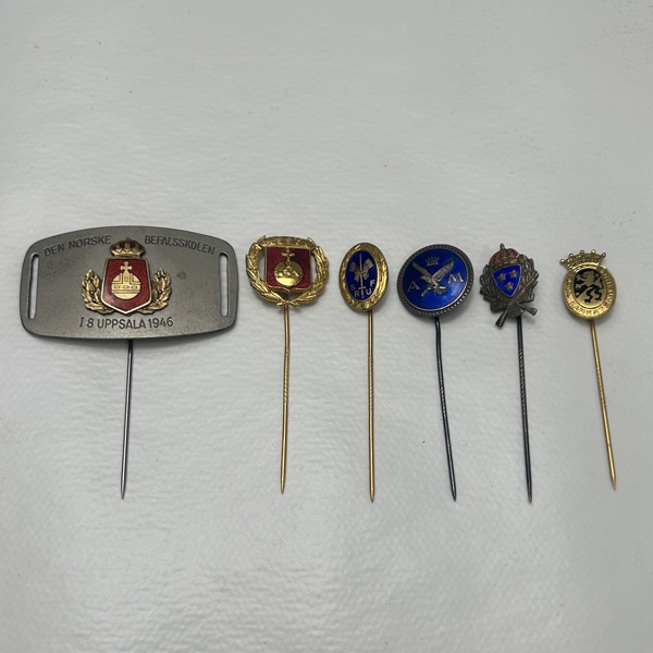 Pins, 6st, varav en i silver.