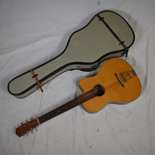 Akustisk gitarr, med fodral.