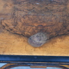 Salongsbord, nyrenässans, 18/1900-tal.