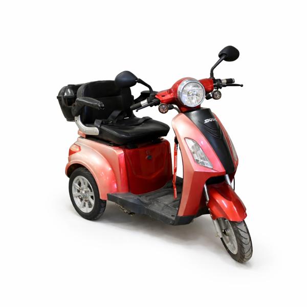 Permobil, Skand Leijona. 