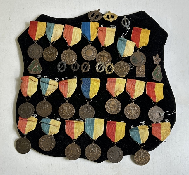 Märkesköld med medaljer
