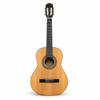 Gitarr, akustisk, Cataluna C61NS