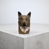 Douglas Grey, skulptur i brons, tysk schäferhund, England, 1900-tal.