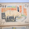 Skolplanscher, 6st, 1900-tal.