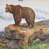Skolplanscher, 2st, "Bilder av svenska djur", 1900-tal.