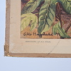 Skolplanscher, 2st, "Dadelpalm" och "Bomull", 1900-tal.