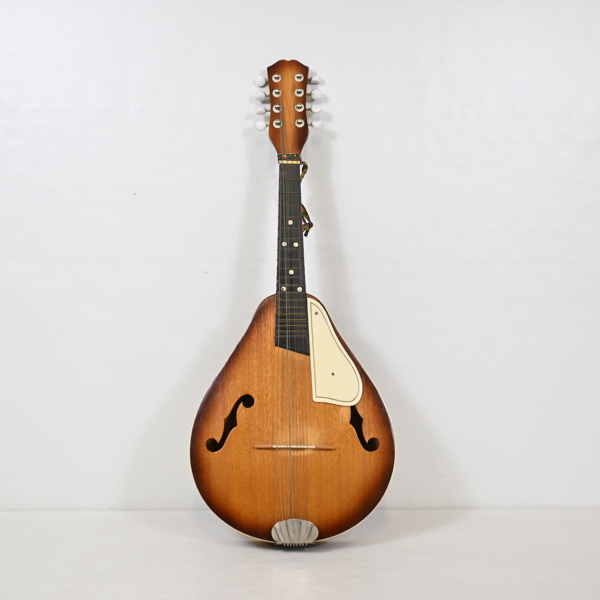 Mandolin, 1900-tal.