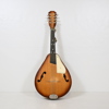 Mandolin, 1900-tal.