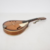 Mandolin, 1900-tal.