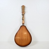 Mandolin, 1900-tal.