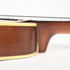 Mandolin, 1900-tal.