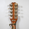 Mandolin, 1900-tal.