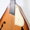 Mandolin, 1900-tal.