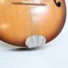 Mandolin, 1900-tal.