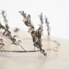 Diadem i silver, omkring år 1900.