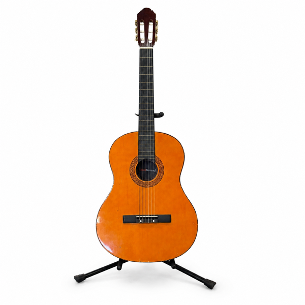 Gitarr, Star Sound, med ställning.
