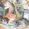 Samlartallrikar, 9st, kattmotiv, Jurgen Schols, kahla Porzellan.