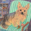 Knut Haggren (1926-1986) yorkshireterrier, olja på duk, signerad.