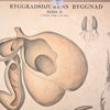 Skolplansch, "Ryggradens Byggnad", 1900-talets första hälft.