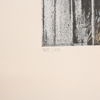 Bengt Böckman (1936-2014) "Växthus", färglitografi, signerad.