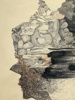 470b_8dc7996a9a81864_sm.jpeg