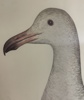 6565b_8dd348129462966_sm.jpeg