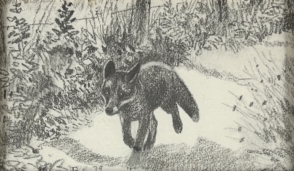 Auktion 7:e december